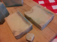 1 spearmint rosemary.jpg